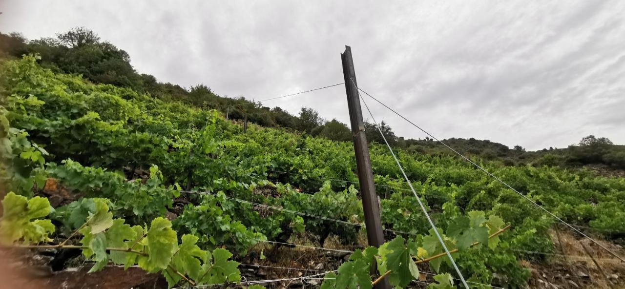 Vina Cazoga Villa Sober Kültér fotó