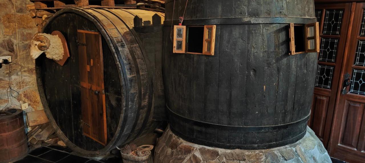 Vina Cazoga Villa Sober Kültér fotó